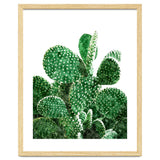 Velvet Cactus | Watercolor Botanical Plants | Minimal Boho Scandinavian Painting thumbnail
