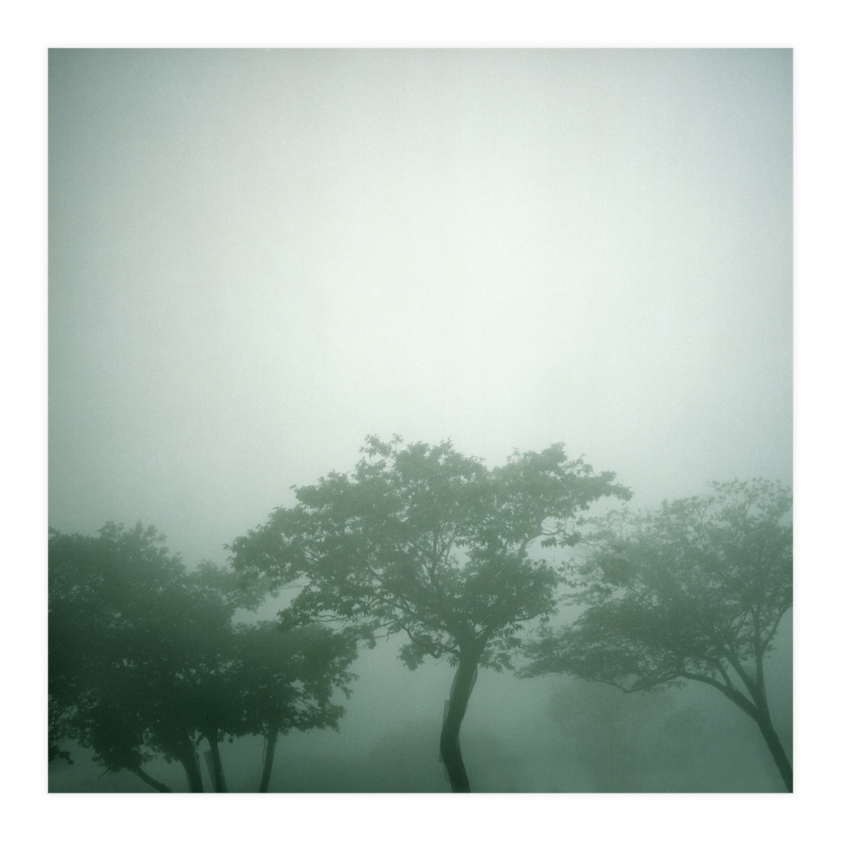 Silence of breath - 17 (Print Only)