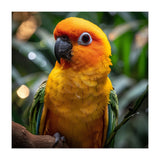 Sun Conure Parrot Colorful Bird Perched On Branch (Print Only) thumbnail