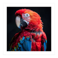 Scarlet Macaw Parrot Detailed Feather Close Up Portrait (Print Only)