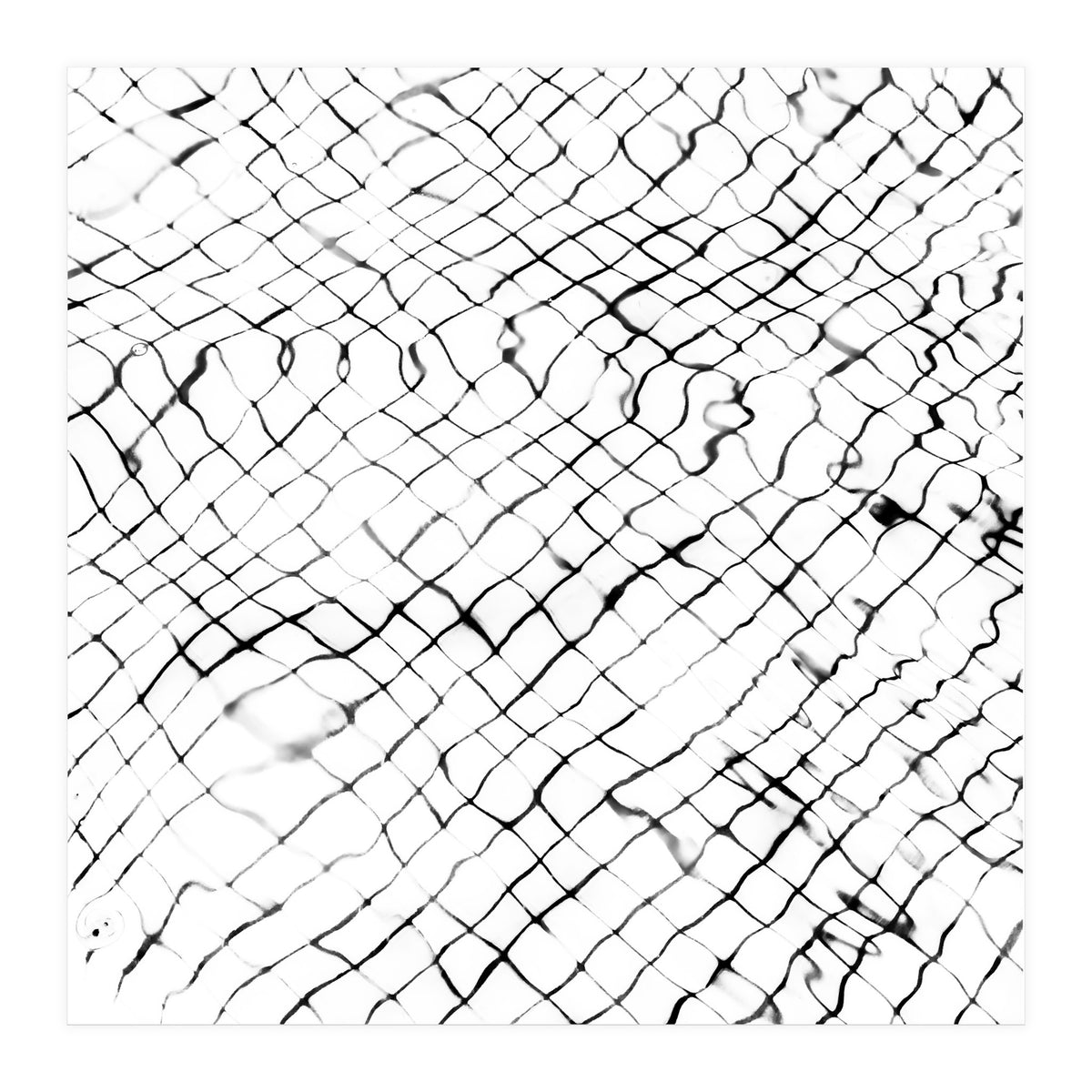 Reflection (Print Only)