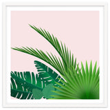Tropical thumbnail