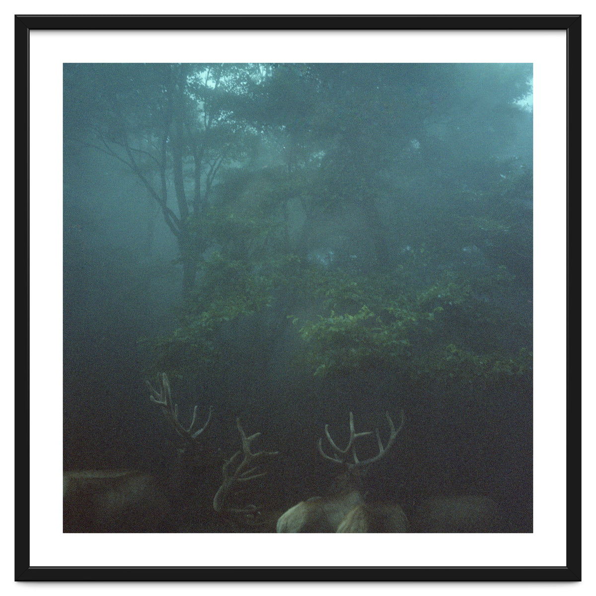 Silence of breath - 12