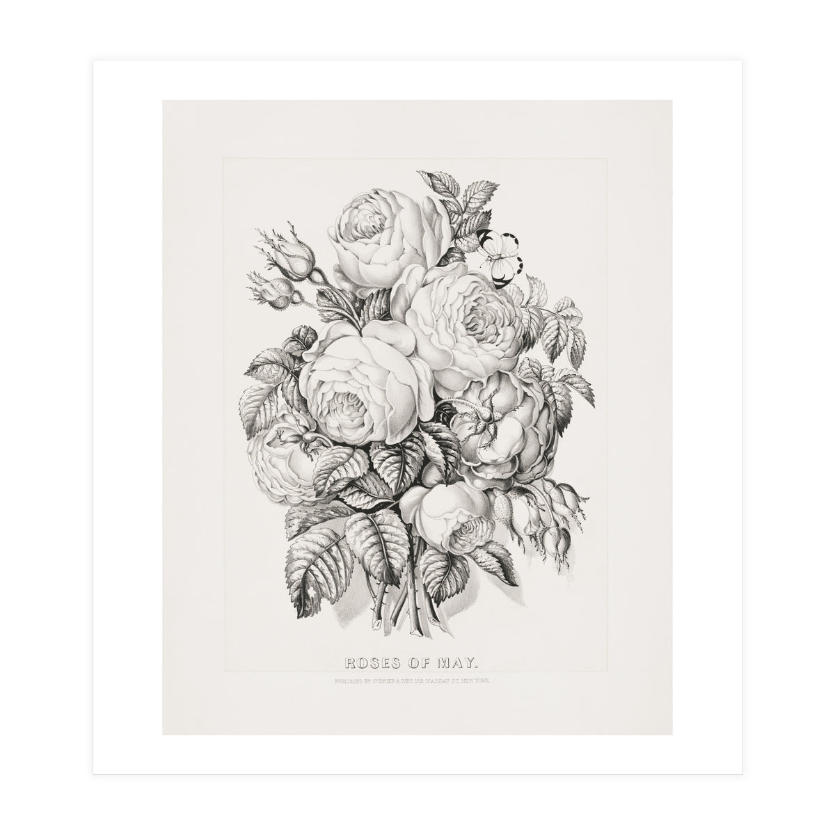 Currier & Ives – Rose of May (1870) (Print Only)