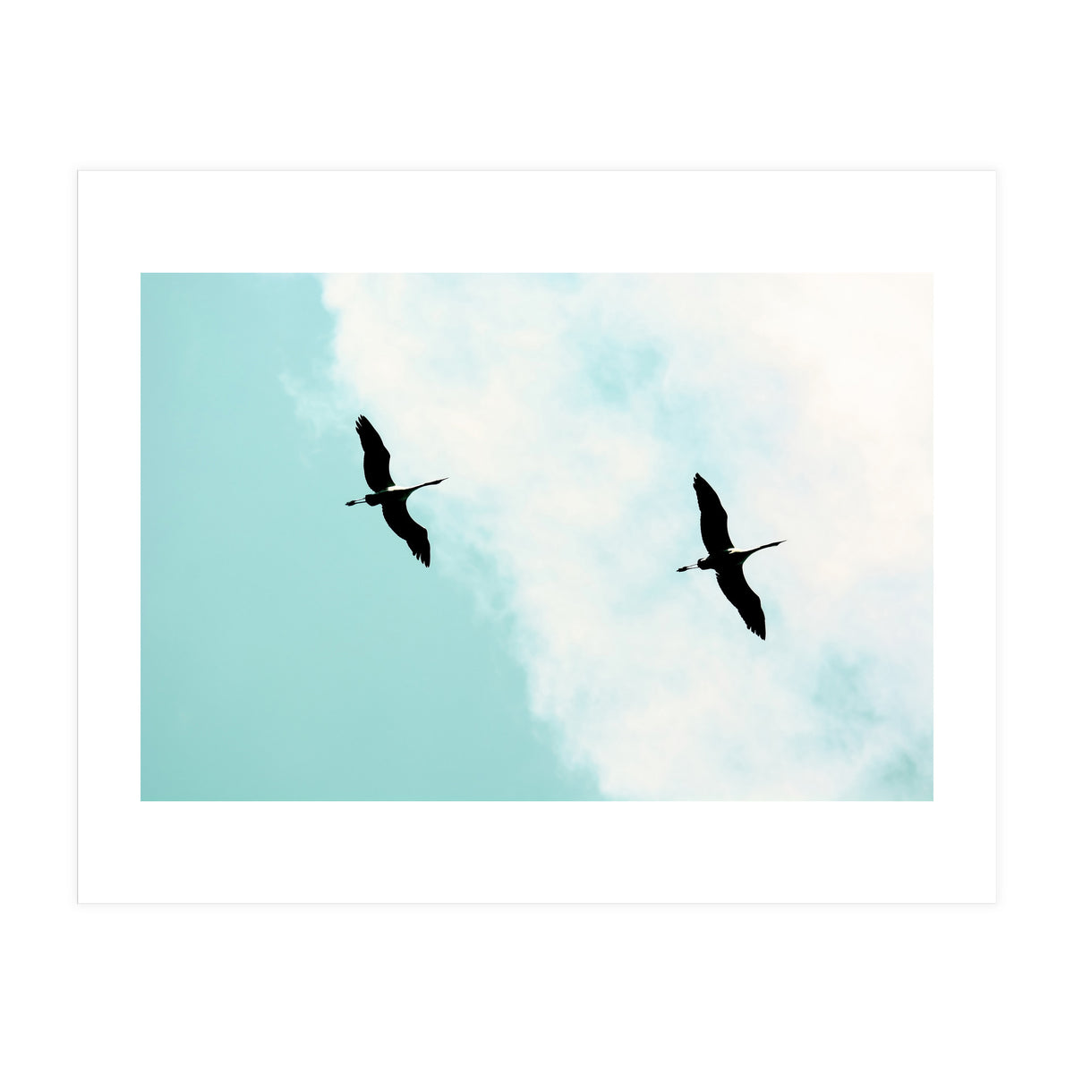 Crane(s) V (Print Only)