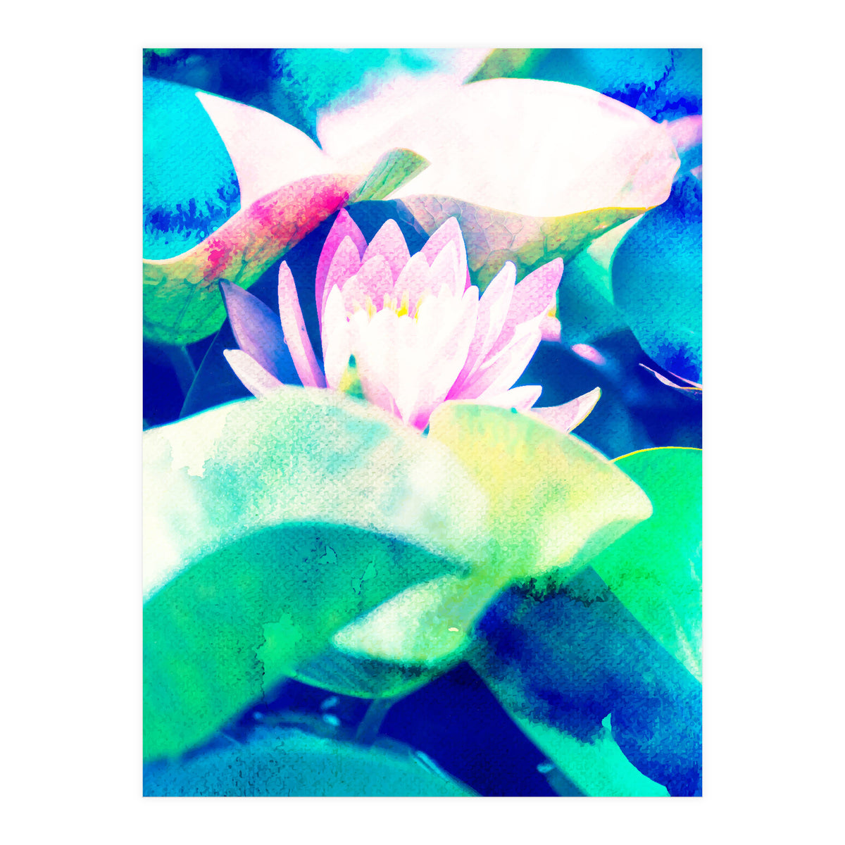 Watercolor Lotus (Print Only)