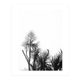 Miminalist Palm (Print Only) thumbnail