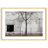 A tree in front of the wall thumbnail