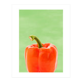 Red Bell Pepper, Fresh Kitchen Art, Capsicum Chilli (Print Only) thumbnail