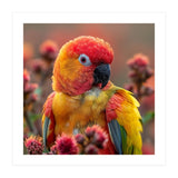 Close Up Of A Sun Conure Parrot With Bright Feathers (Print Only) thumbnail