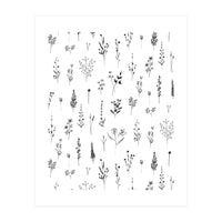 Wildflowers Minimalist Pattern (Print Only)