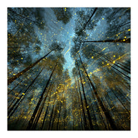 Enchanted Night Forest with Glowing Fireflies (Print Only)