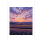 Serene Lavender Fields at Golden Hour Sunset (Print Only) thumbnail