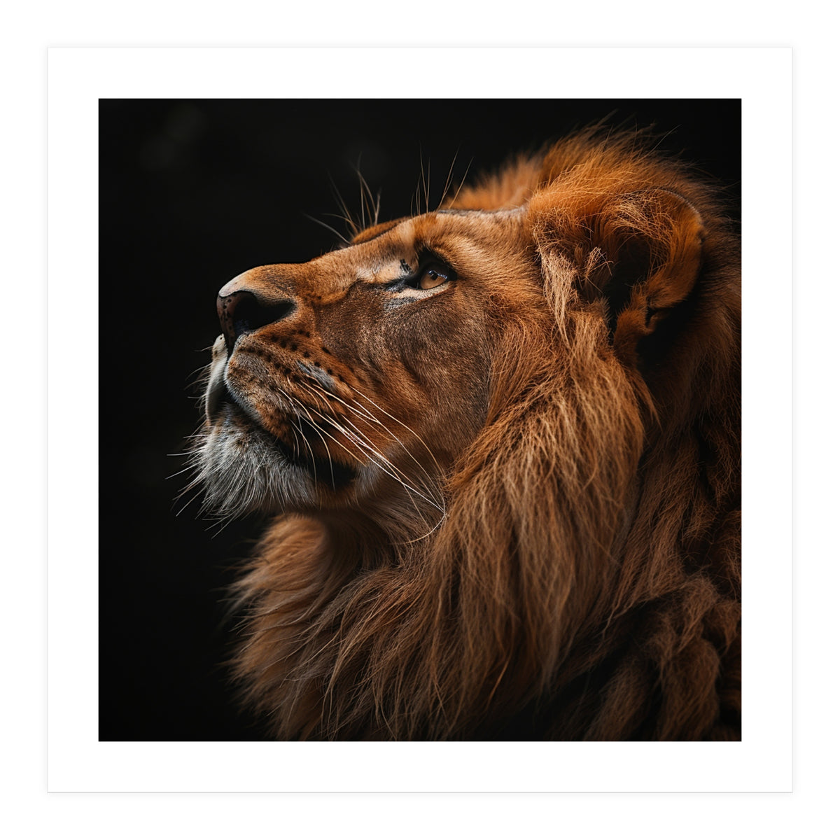 Majestic Lion Portrait Profile Majestic Beast (Print Only)
