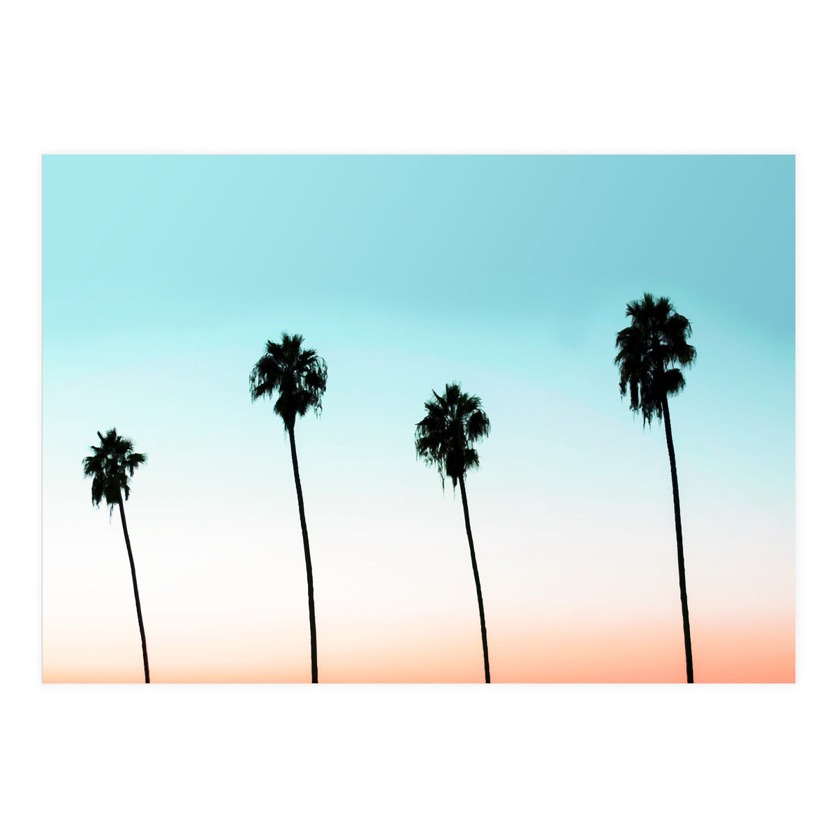 Sunset Boulevard #society6 #decor #buyart (Print Only)
