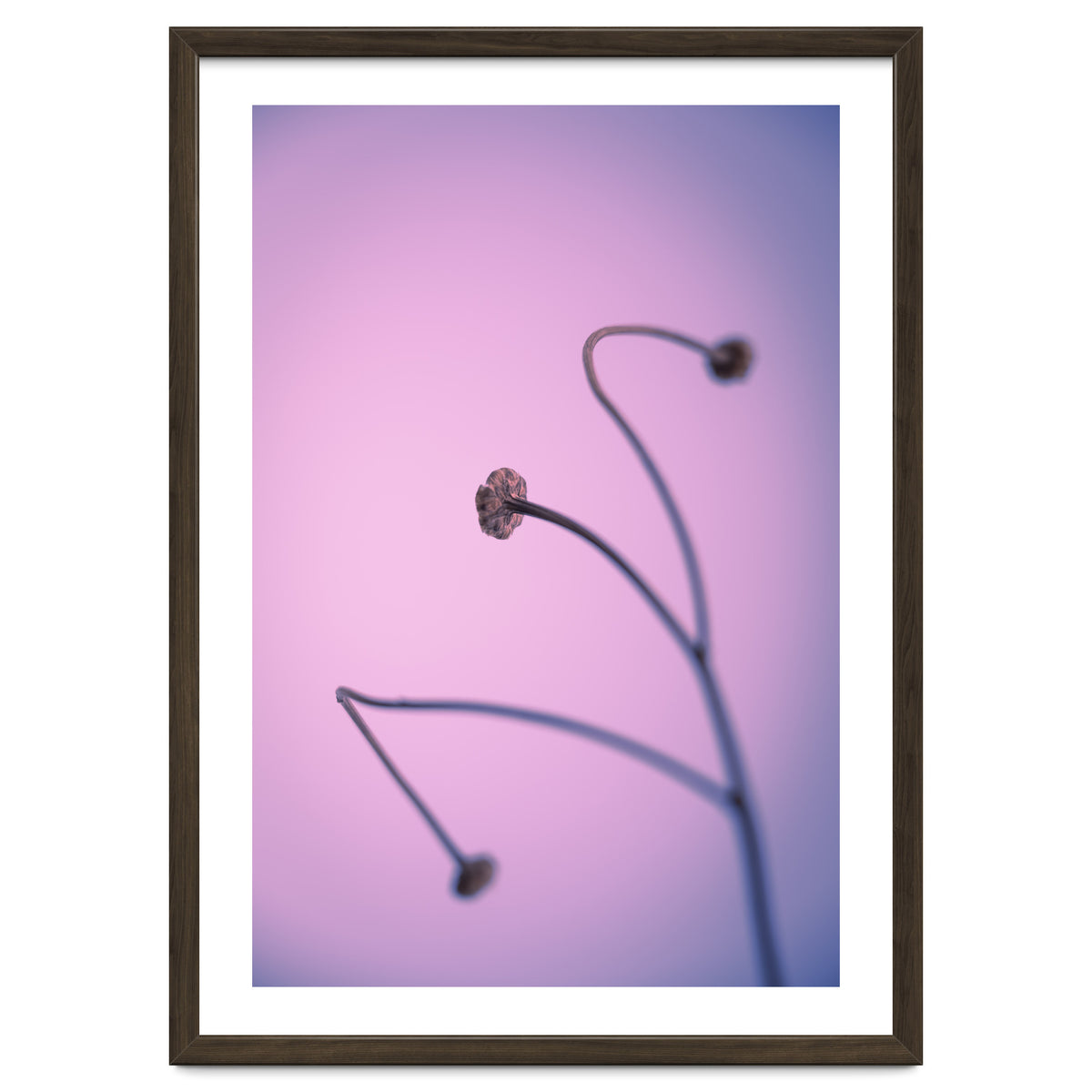 In light of current events VI