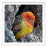 Cute Lovebird Perched On A Rock In A Cave thumbnail