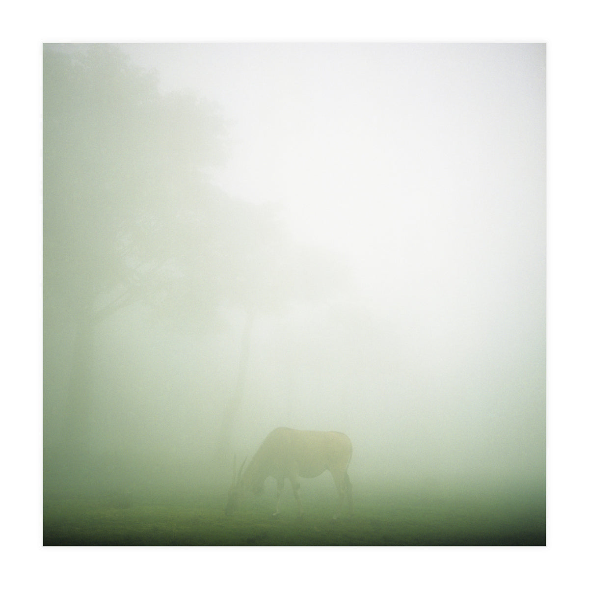 Silence of breath - 09 (Print Only)