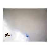 The Little Prince (Print Only) thumbnail