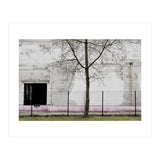 A tree in front of the wall (Print Only) thumbnail