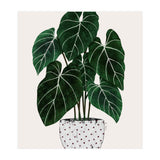 Philodendron Plant (Print Only) thumbnail