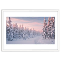 Winter’s Gentle Embrace