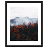 Fog thumbnail