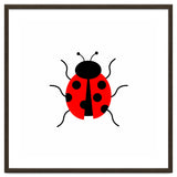 Lady Bug thumbnail