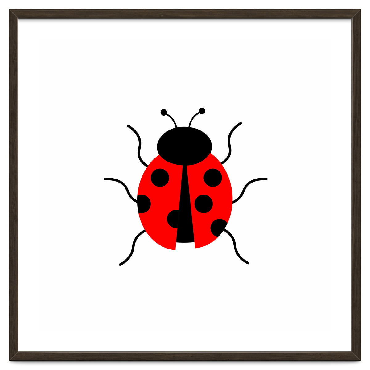 Lady Bug