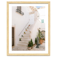 Stairs with cacti