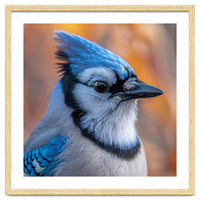 Blue Jay Bird Close Up Detailed Portrait