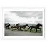 Running horses - Iceland thumbnail