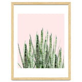 Botanical Balance thumbnail