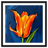 Lily Fresh