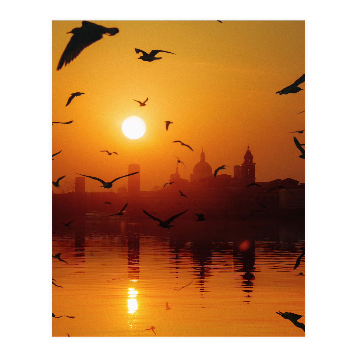 Charming Birds (Print Only)