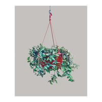 Hanging Plant (Print Only)