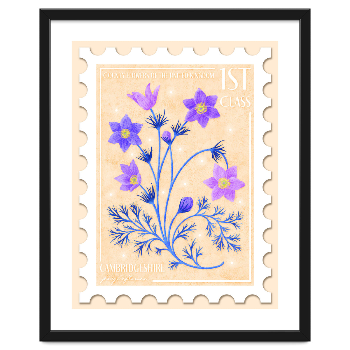 The Cambridgeshire Pasqueflower Postage Stamp