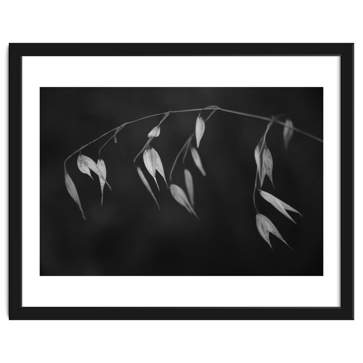 In light of current events II