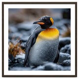 King Penguin In Snow With Water Droplets thumbnail