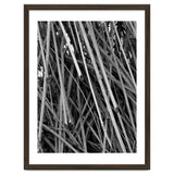 Black Tectorius Plant Shoots Art thumbnail