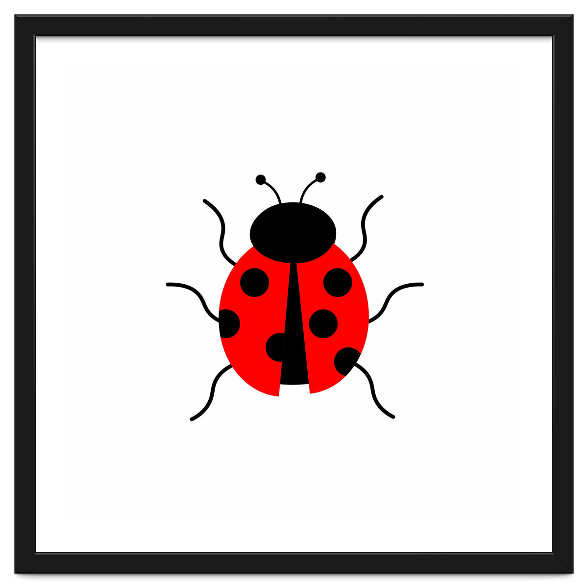 Lady Bug