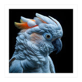Close Up Of A Cockatoo Parrot Head (Print Only) thumbnail