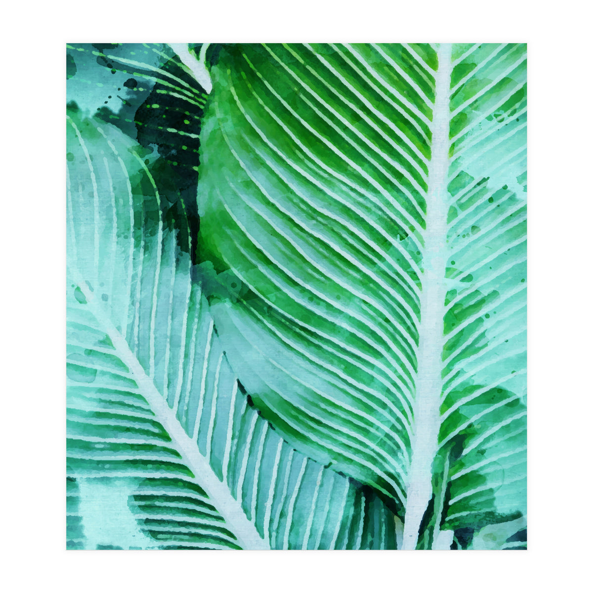 Rearranged Beauty (Print Only)