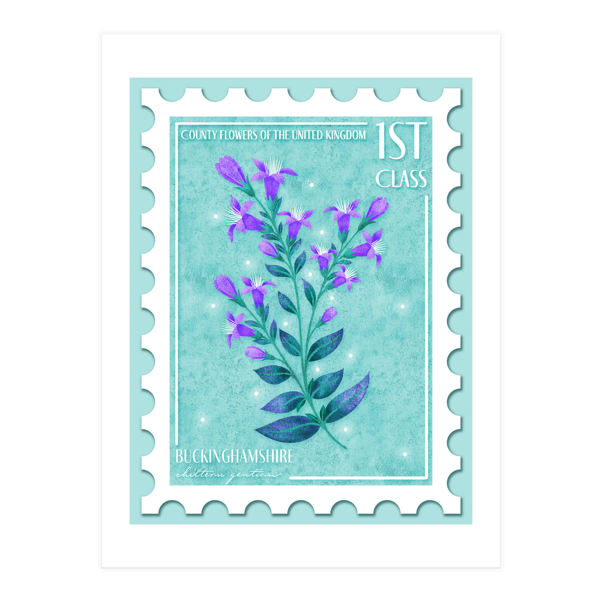 The Buckinghamshire Chiltern Gentian Postage Stamp (Print Only)