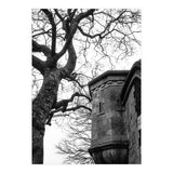 Stark Contrast (Print Only) thumbnail