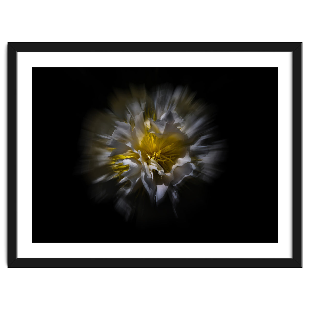 Backyard Flowers No 25 Color Flow Version