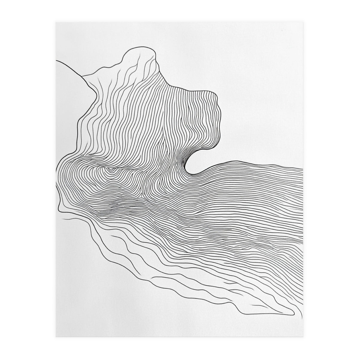 Abstract Black And White Organic Flowing Lines Pattern (Print Only)