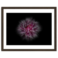 Backyard Flowers No 116 Color Flow Version