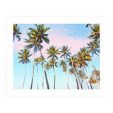 Coconut Palms #society6 #decor #buyart (Print Only) thumbnail