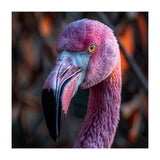 Close Up Of A Pink Flamingo Bird Face (Print Only) thumbnail
